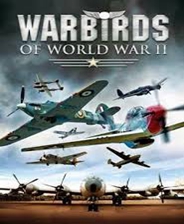 空战英雄：二战航空 免安装硬盘版