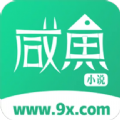 咸鱼小说 在线观看