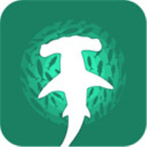 鲨鱼来了 v1.0 安卓版