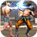 功夫忍者斗士 V1.0.1 安卓版