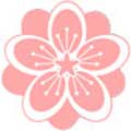 桃花堂影视 在线播放