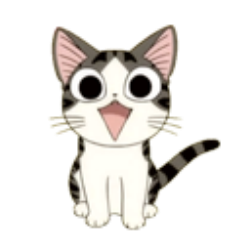 野猫影院 无障碍观看版