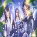 人类社会生存法则 无限鲜花版