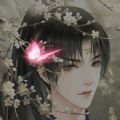 冥虹贯日 无限鲜花版
