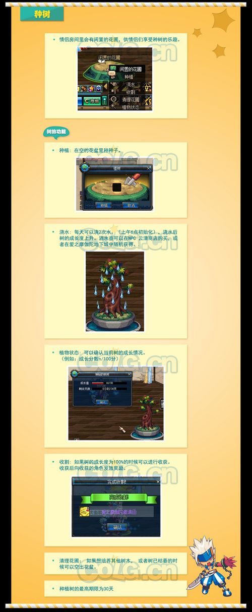 DNF结婚流程图