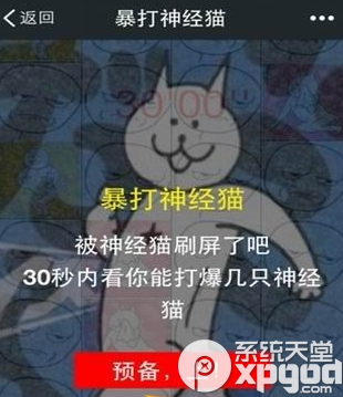 暴打神经猫高分攻略 高分技巧 