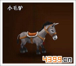 酋长萨尔毛驴