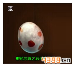 酋长萨尔蛋蛋