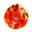 Evo 07.png