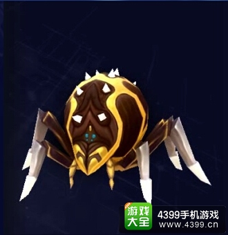 金背狼蛛