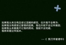 王家卫电影台词大全
