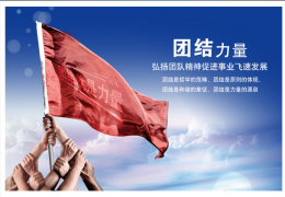 团结合作的谚语大全