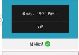 微信强制奔溃功能使用方法