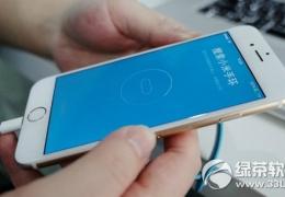 小米手环iphone版上市时间及购买价格介绍