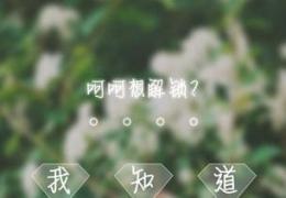 纹字锁屏解不开解决办法