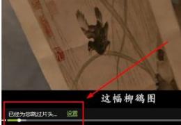 爱奇艺跳过片头片尾设置方法