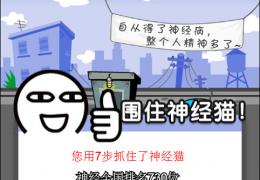 围住神经猫电脑版_围住神经猫网页版