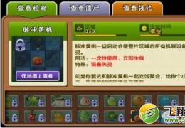 《植物大战僵尸2:未来世界》第13天通关攻略