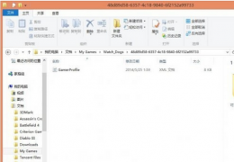 《看门狗》卡顿问题解决方法
