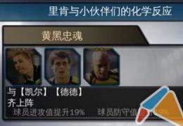 绝杀2014里肯技能属性搭配分析介绍