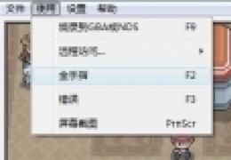 NDS模拟器金手指使用图文教程