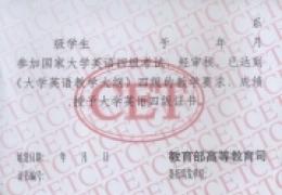 2013年12月四六级成绩发布 查询入口启动