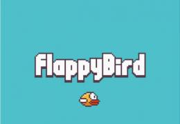 Flappy Bird高分视频