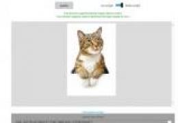 IE11 for Win7要来了明天春天还会升吗