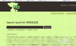 torrentkitty使用方法