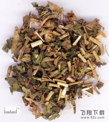 中医本草精华-佩兰