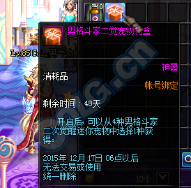 《DNF》男格斗二觉宠物属性