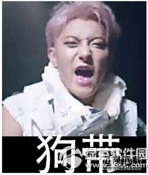狗带是什么梗?什么意思?狗带go die出自哪里?出处