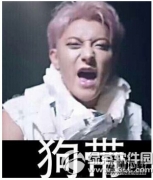 狗带是什么意思