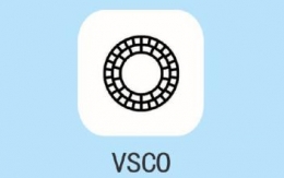 如何使用VSCO