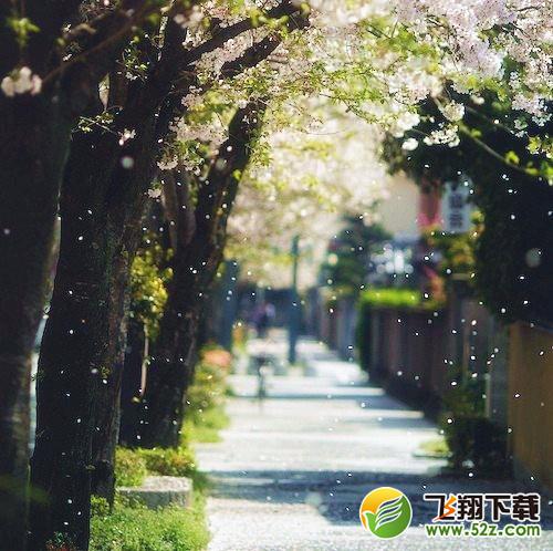 qq空间说说带图片 唯美心情说说