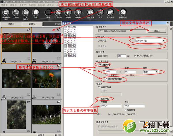 发现很多朋友不会使用DPP软件压片、去暗角、降噪、裁剪、调水平、批量处