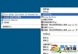 epub格式用怎么打开？
