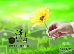 清明节绿色祭祀方式大全