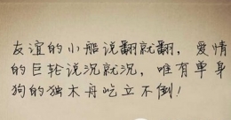 单身狗的独木舟屹立不倒什么意思