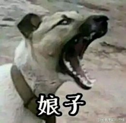 娘子啊哈是什么梗