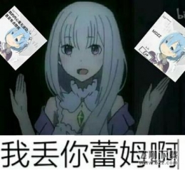 丢你雷姆出处及意思解析