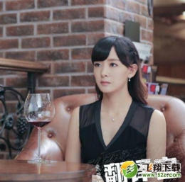 亲爱的翻译官大结局