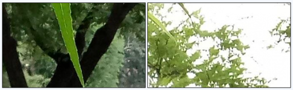 魅蓝max怎么样好不好 魅蓝max手机评测