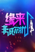 2016情感综艺节目排行榜