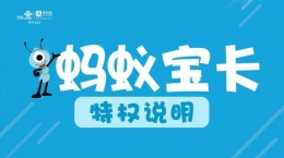 蚂蚁大宝卡和腾讯大王卡是一样的吗 蚂蚁大宝卡是什么意思
