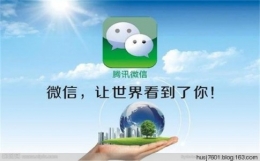 微信表情有一根毛是什么意思