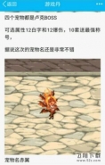 2017春节宠物属性图