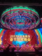 鸡年央视春晚主持阵容