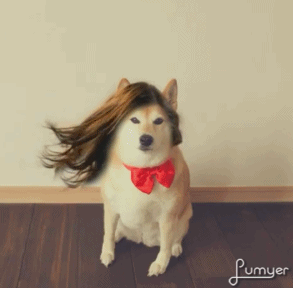 lumyer怎么用 lumyer怎么发朋友圈