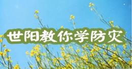 国产游戏《世阳教你学防灾》更新语音立绘，Steam售价6元